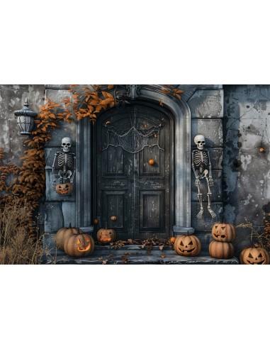 Toile de Fond Sentinelles Squelettes et Porte avec Citrouille d'Halloween BRP8-196 acheter en ligne