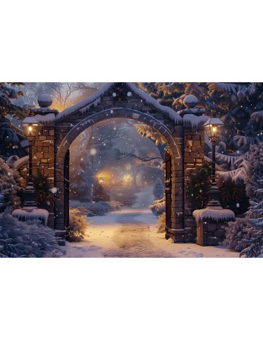 Toile de Fond Sentier Serein sous Arche Enneigée de Noël BRP8-61 en stock