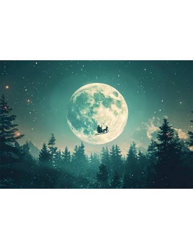 Toile de Fond Traîneau du Père Noël Volant sous la Lune de Noël BRP8-73 en ligne