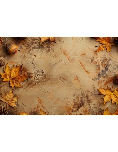 Toile de Fond Sol Feuilles d'Automne Rustiques Texturé RR8-280 est présent 