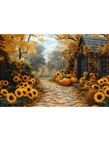 Toile de Fond Allée Fleurie de Tournesols d'Automne RR8-313 livraison gratuite