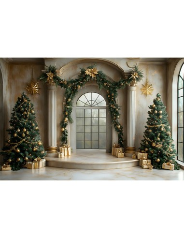 Toile de Fond Porte Décorée avec Guirlande de Noël RR8-338 en stock