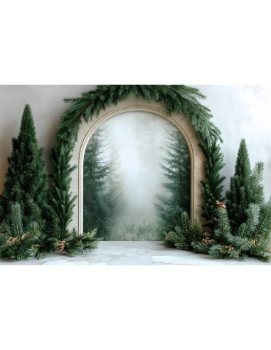 Toile de Fond Photographie avec Guirlande de Sapin de Noël RR8-348 pas cher chine