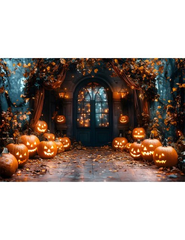 Toile de Fond Lanternes Citrouilles Lumineuses d'Halloween RR8-372 outlet