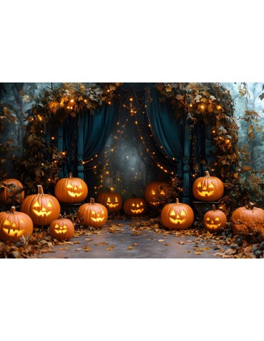 Toile de Fond Guirlande Lumineuse de Lanternes Citrouilles d'Halloween RR8-377 store