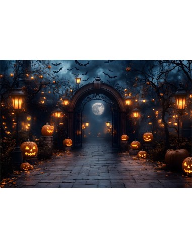 Toile de Fond Nuit d'Halloween avec Lanternes Citrouilles Lumineuses RR8-379 à prix réduit toute l'année