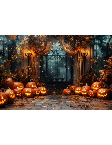 Toile de Fond Nuit d'Halloween avec Citrouilles Lumineuses RR8-384 pour bénéficier 