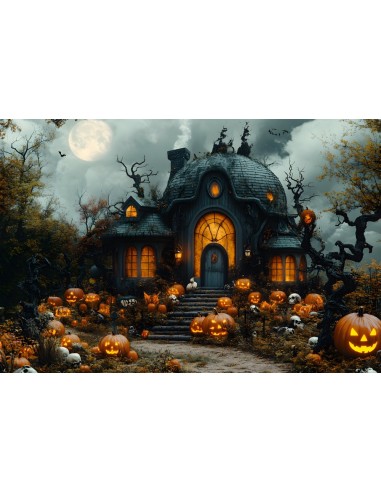 Toile de Fond Maison de Sorcière Hantée avec Citrouilles d'Halloween RR8-391 Venez acheter