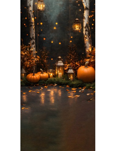 Toile de Fond Citrouilles Lumineuses et Feuilles d'Érable d'Automne RR8-328 2023