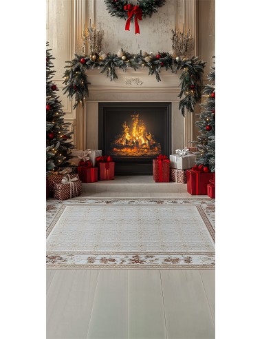 Toile de Fond Cheminée de Noël avec Tapis et Sol RR8-359 votre restaurant rapide dans 