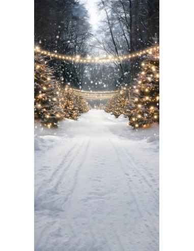 Toile de Fond Arbres Lumineux d'Hiver sous la Neige de Noël RR8-366 2024