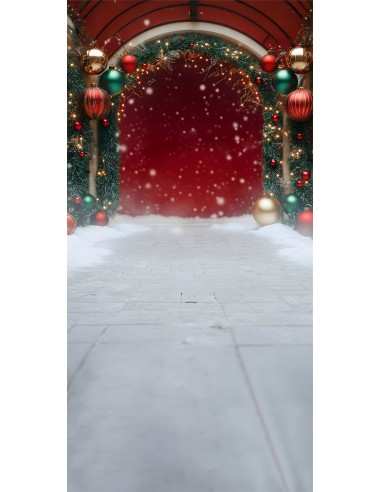 Toile de Fond Décors Rouges avec Sol et Neige de Noël RR8-367 la colonne vertébrale