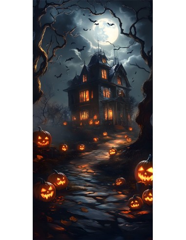 Toile de Fond Maison Hantée sous Pleine Lune d'Halloween RR8-405 sélection de produits